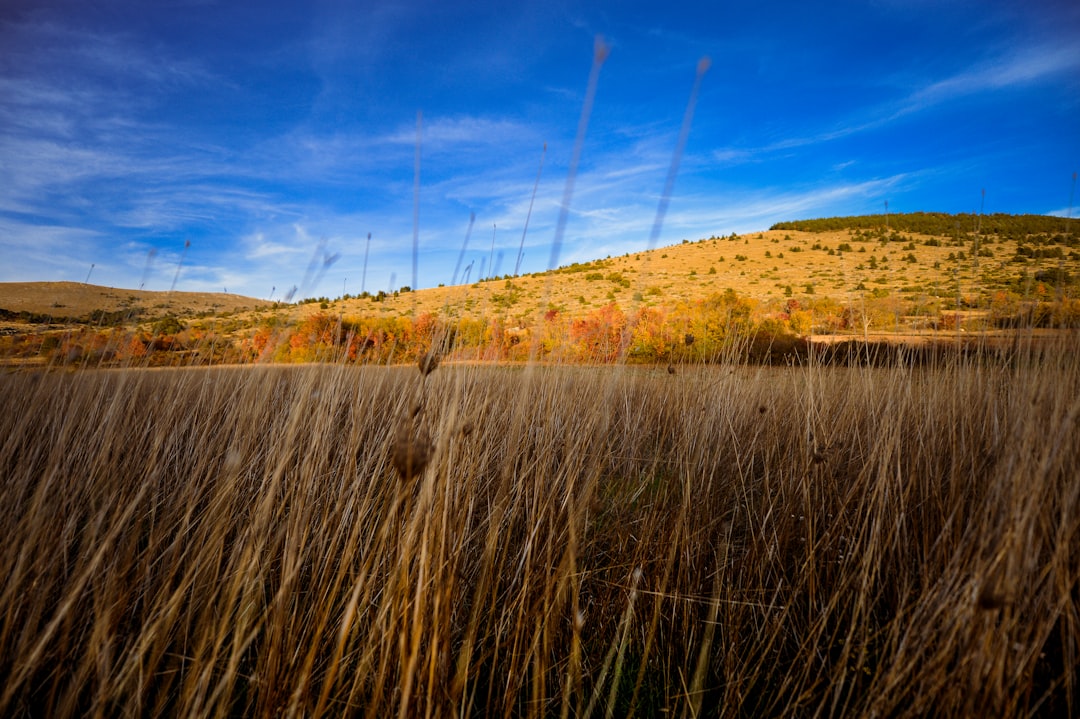 Какие фильмы смотреть? Какие фильмы смотреть?